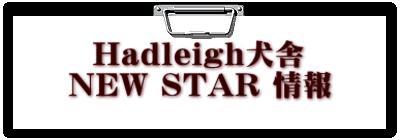  Hadleigh NEW STAR 